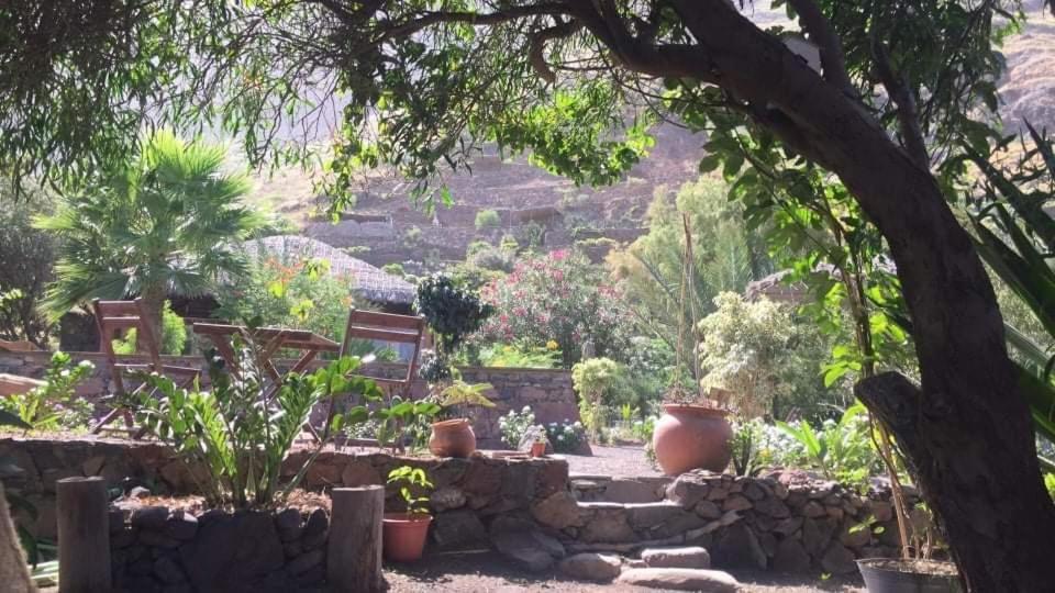 Ecolodge Kasa D'Igreja Chã da Igreja Eksteriør billede