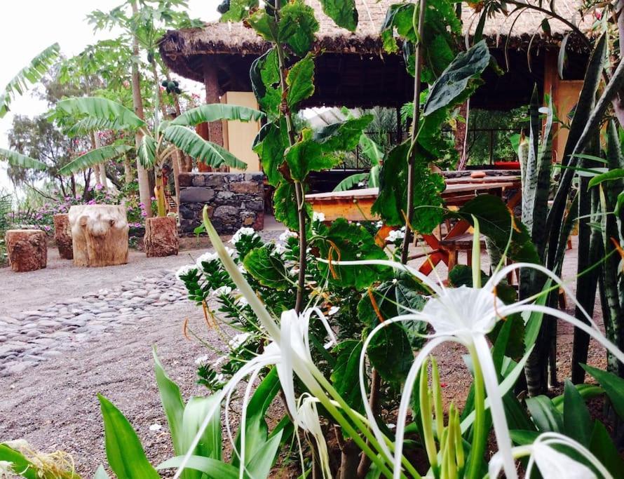 Ecolodge Kasa D'Igreja Chã da Igreja Eksteriør billede